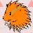 UID: 205766 