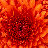 UID: 207058 