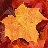 UID: 224570 