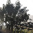 UID: 575719 