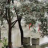UID: 1825799 